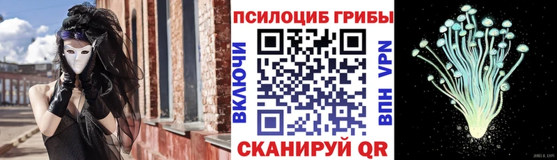 Галлюциногенные грибы мицелий Гусь-Хрустальный