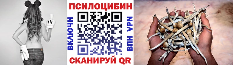 Галлюциногенные грибы мухоморы Гусь-Хрустальный